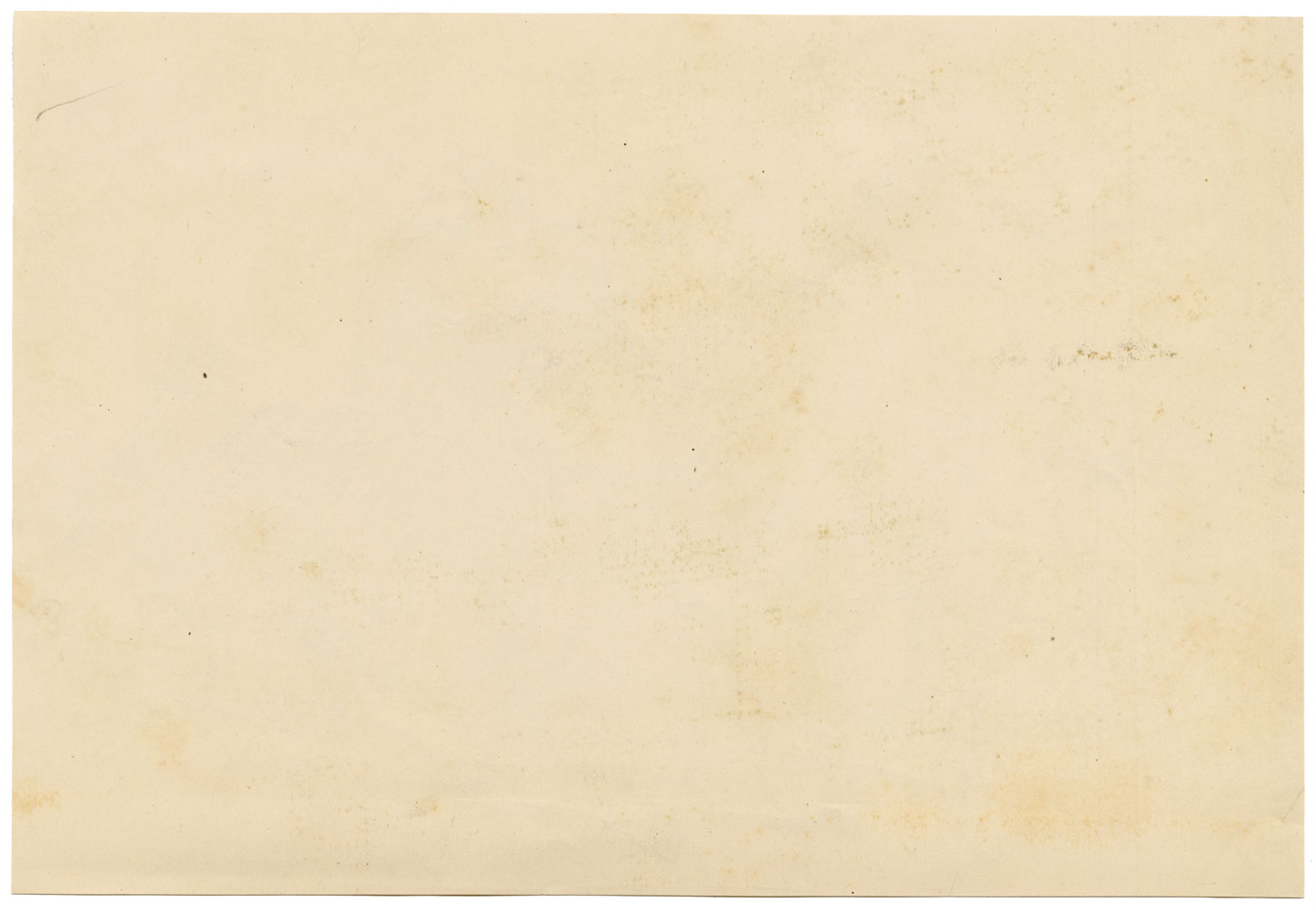 Isabel Lewis, Sheep with Lamb Study – c.1900s graphite drawing