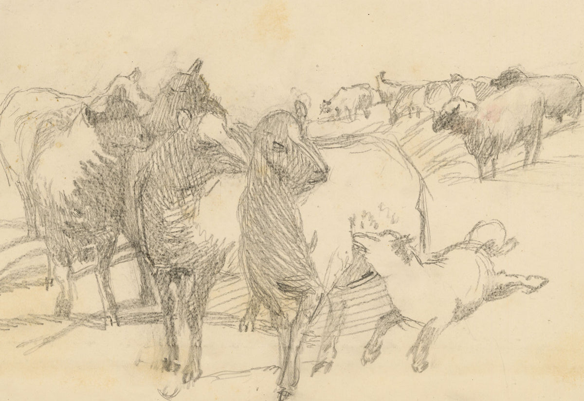 Isabel Lewis, Sheep & Lamb Study – c.1900s graphite drawing