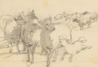 Isabel Lewis, Sheep & Lamb Study – c.1900s graphite drawing