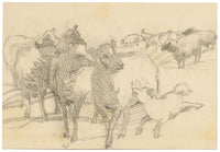 Isabel Lewis, Sheep & Lamb Study – c.1900s graphite drawing