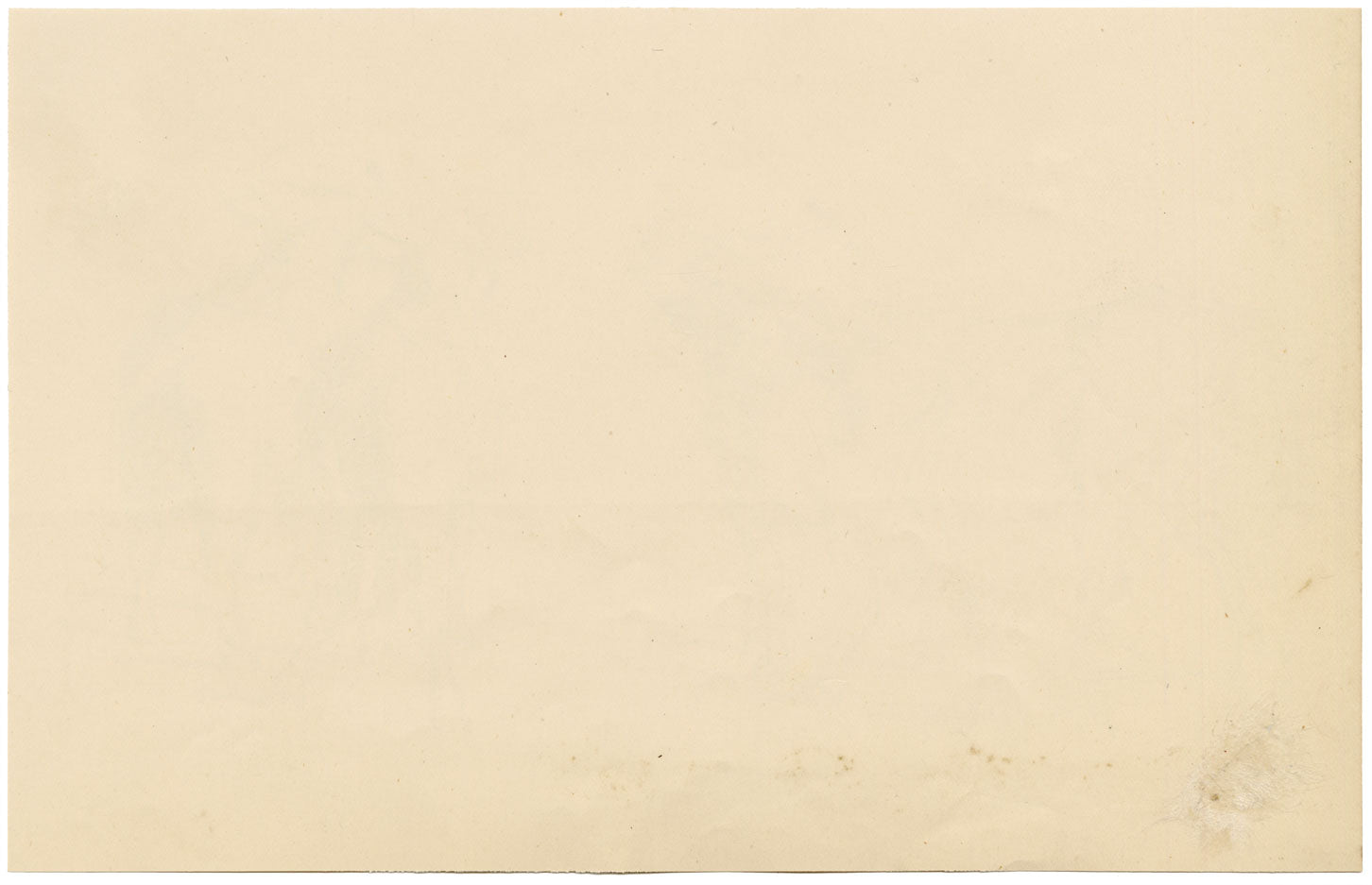 Isabel Lewis, Cows with Horns Study – c.1900s graphite drawing