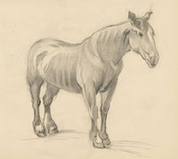 Isabel Lewis, Horse Study – c.1900s graphite drawing