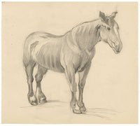 Isabel Lewis, Horse Study – c.1900s graphite drawing