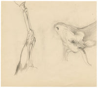 Isabel Lewis, Horse Study – c.1900s graphite drawing