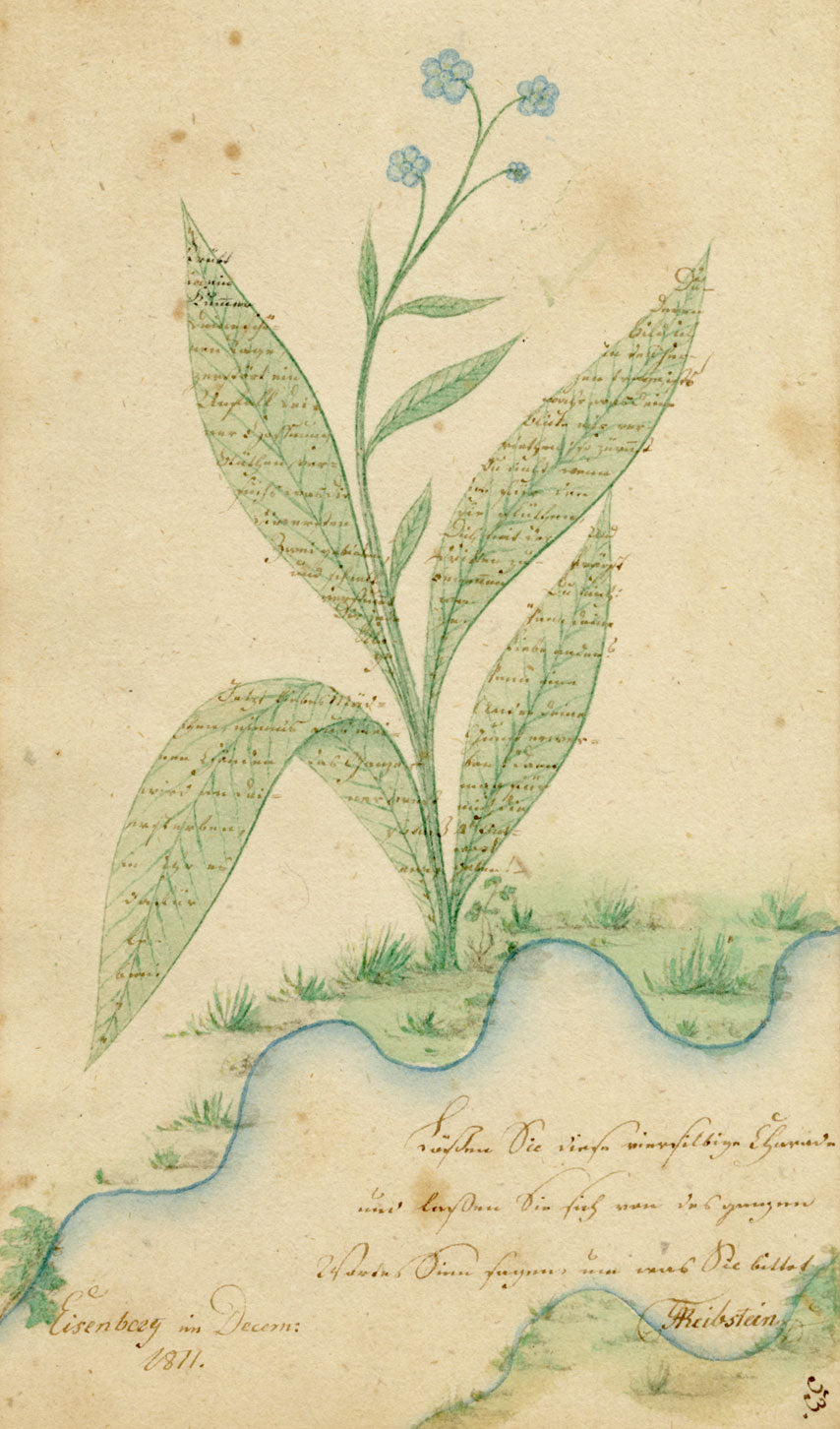 German School, Forget-me-not Flower with Sütterlin Microscript – 1811 watercolour painting