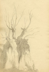 John Maule, Tree & Rock Study in October, Lake District – 1792 drawing in ink & wash