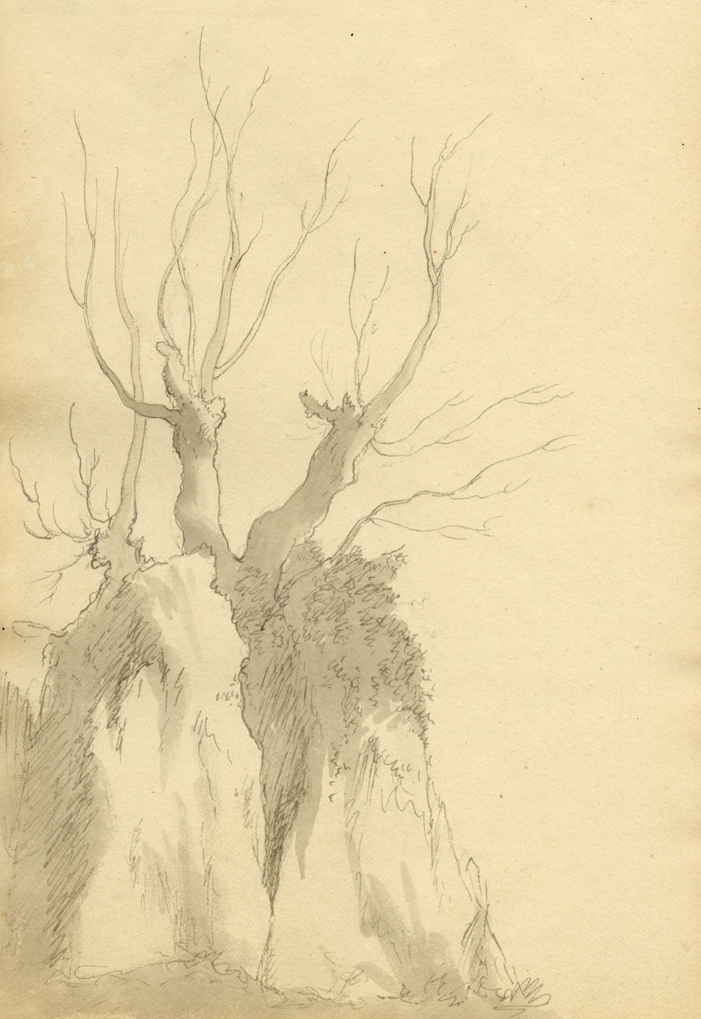 John Maule, Tree & Rock Study in October, Lake District – 1792 drawing in ink & wash