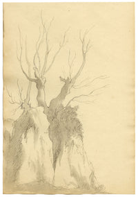 John Maule, Tree & Rock Study in October, Lake District – 1792 drawing in ink & wash