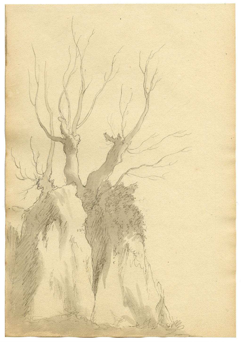 John Maule, Tree & Rock Study in October, Lake District – 1792 drawing in ink & wash