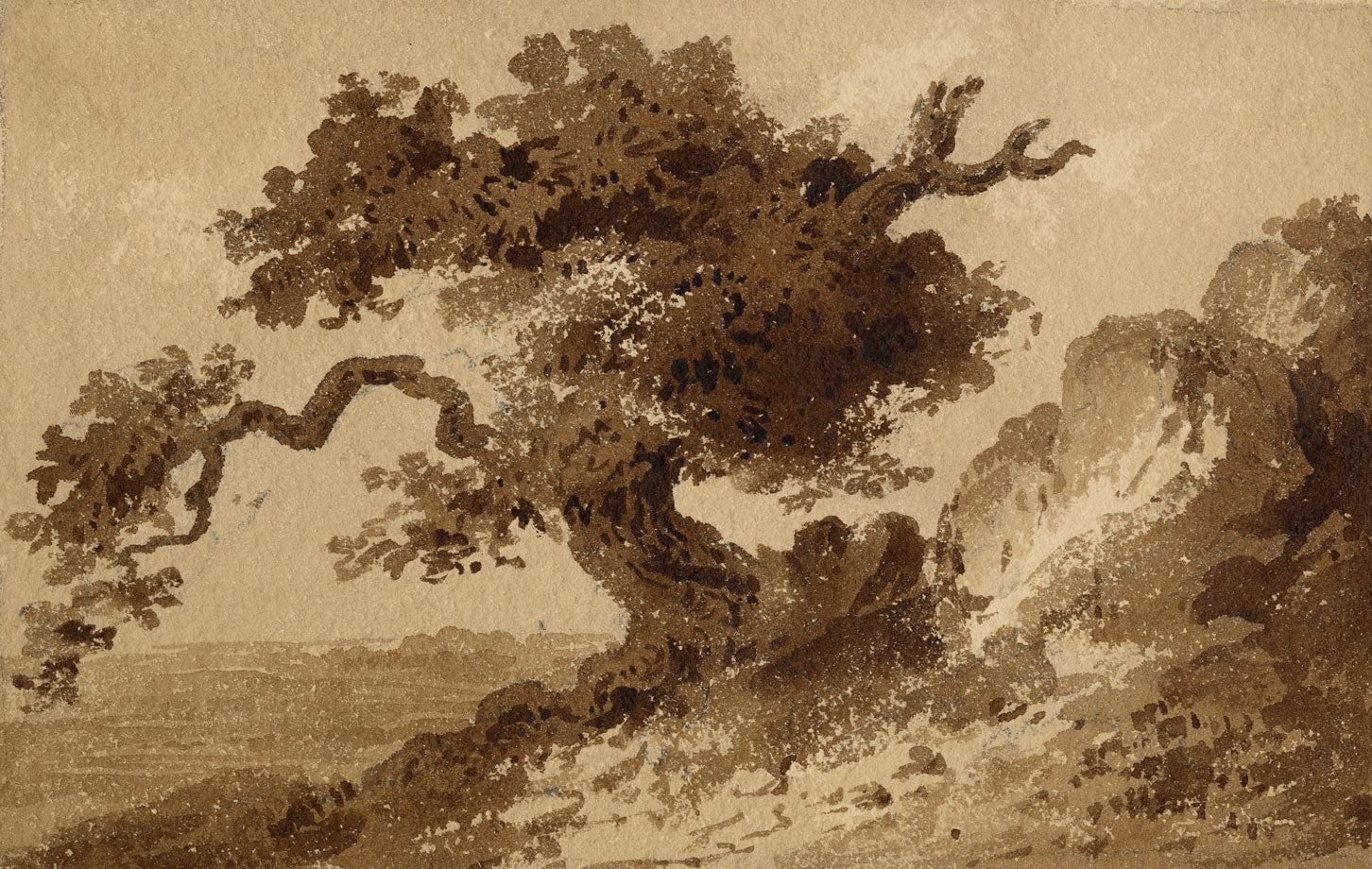 Attrib. William Page, Study of a Tree – Early 19th-century watercolour painting