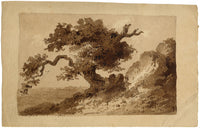 Attrib. William Page, Study of a Tree – Early 19th-century watercolour painting