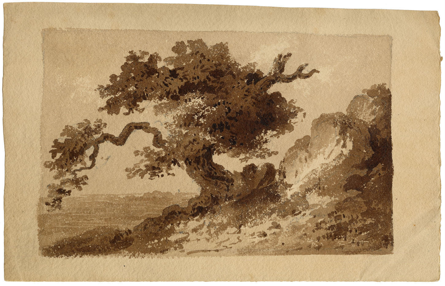 Attrib. William Page, Study of a Tree – Early 19th-century watercolour painting