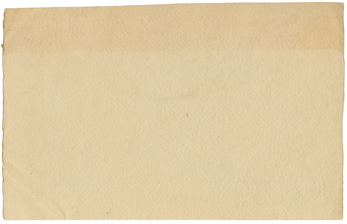 Attrib. William Page, Study of a Tree – Early 19th-century watercolour painting