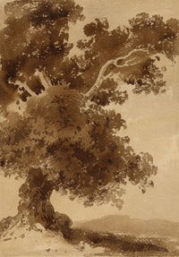 Attrib. William Page, Tree Study – Early 19th-century watercolour painting