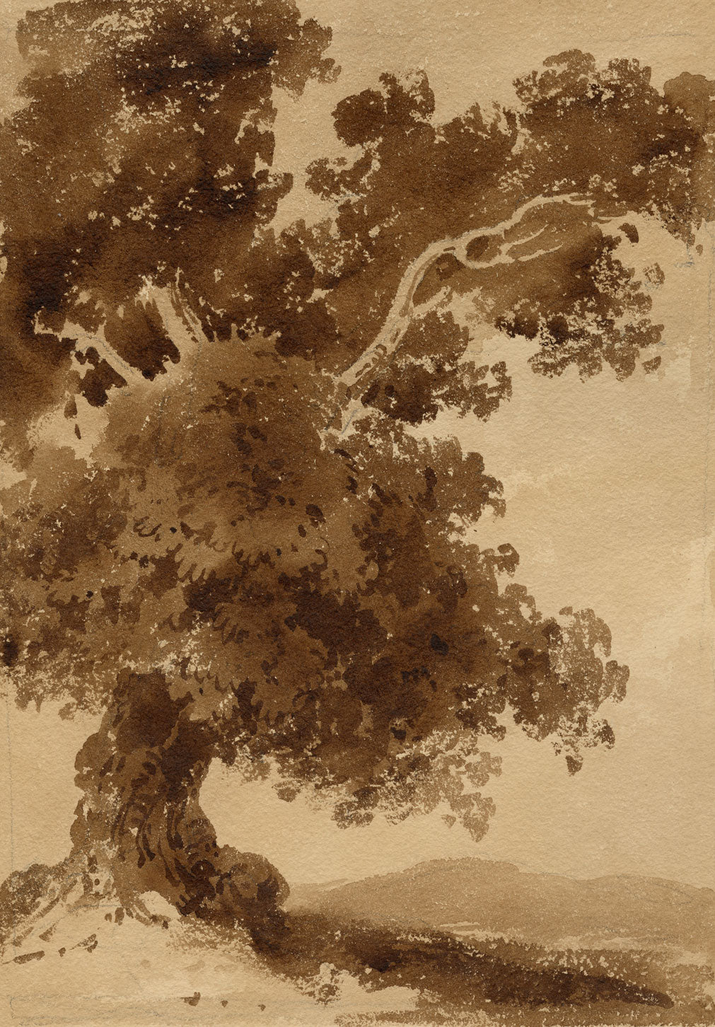 Attrib. William Page, Tree Study – Early 19th-century watercolour painting
