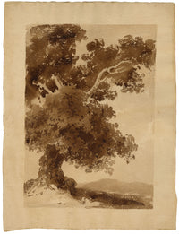Attrib. William Page, Tree Study – Early 19th-century watercolour painting