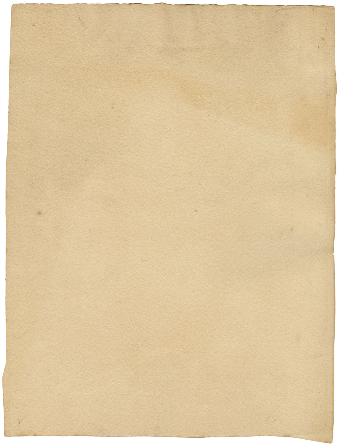 Attrib. William Page, Tree Study – Early 19th-century watercolour painting