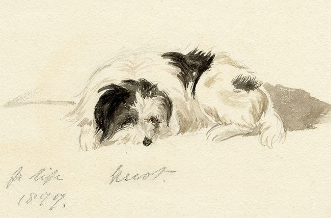 Hunter, Sleeping Dog from Life, Scottish Borders – 1877 watercolour painting