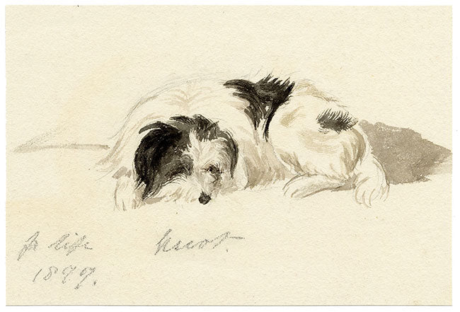 Hunter, Sleeping Dog from Life, Scottish Borders – 1877 watercolour painting