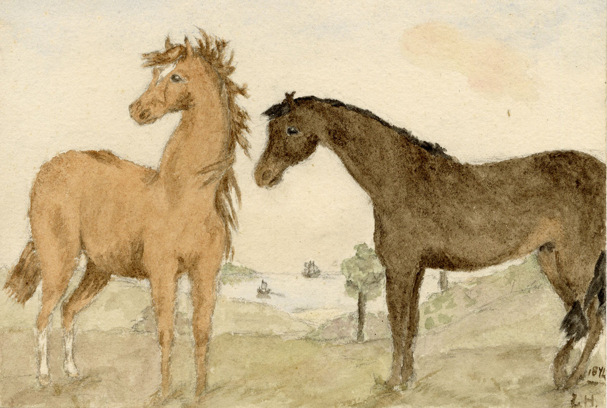 Lucy Hunter, Two Foal Horses, Berwickshire, Scotland – 1874 watercolour painting