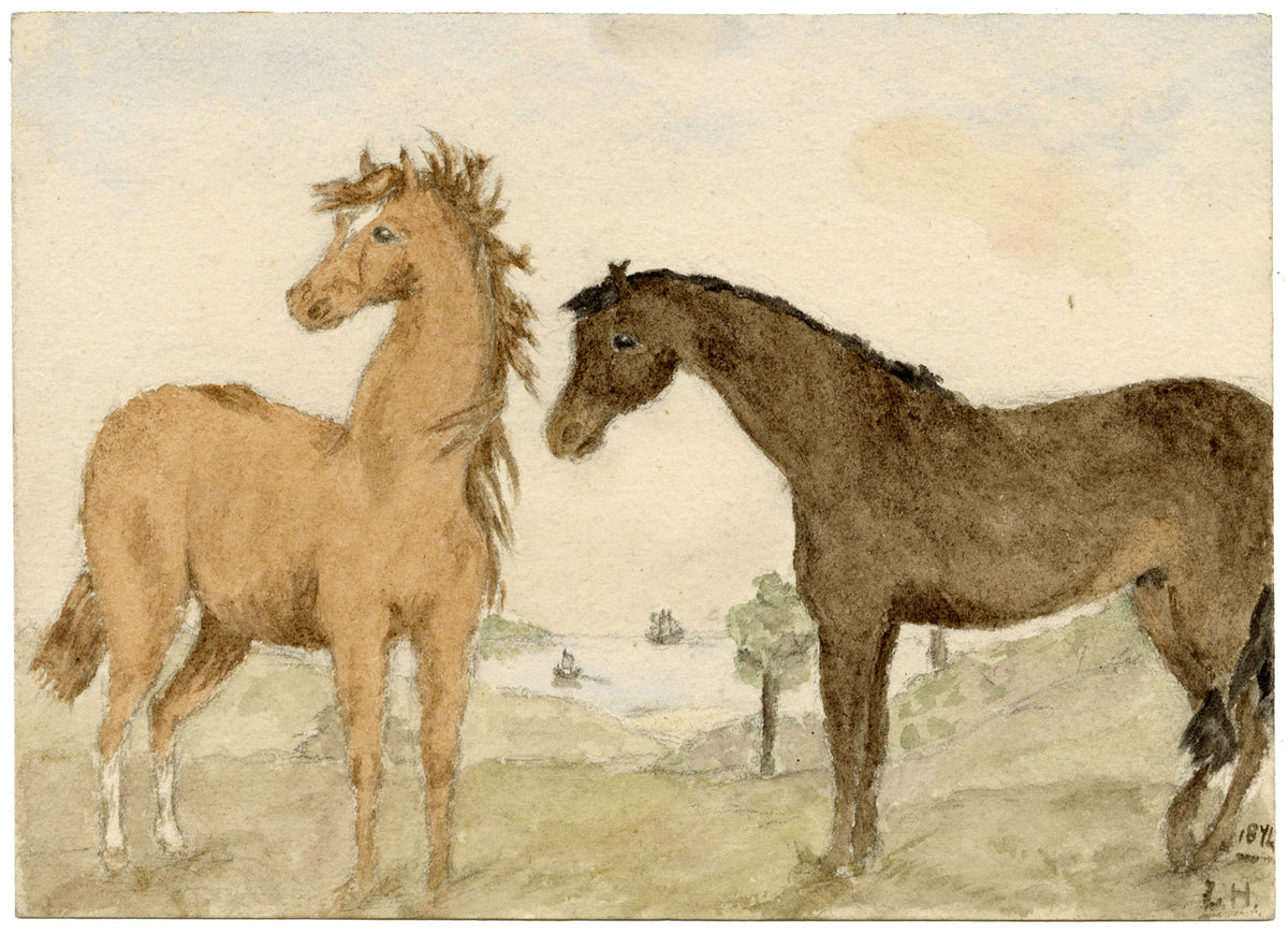 Lucy Hunter, Two Foal Horses, Berwickshire, Scotland – 1874 watercolour painting