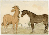 Lucy Hunter, Two Foal Horses, Berwickshire, Scotland – 1874 watercolour painting