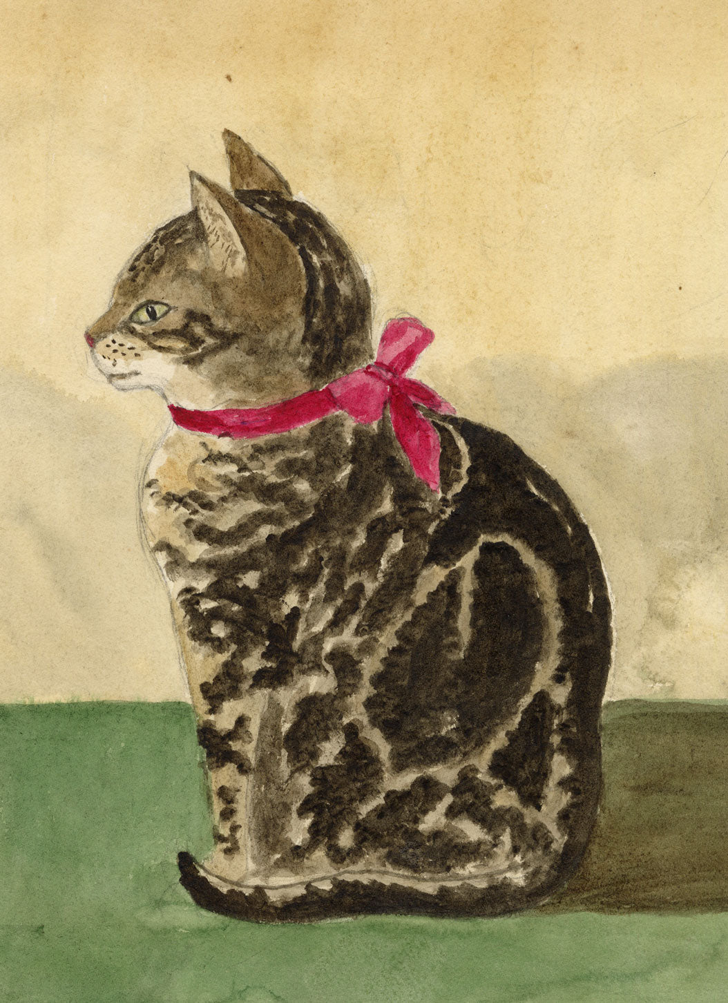 Isabella Hunter, Tabby Cat 'Flossy' with Bow Collar, Scottish Borders – 1870s watercolour painting