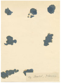 Isabella Hunter, Tabby Cat 'Flossy' with Bow Collar, Scottish Borders – 1870s watercolour painting