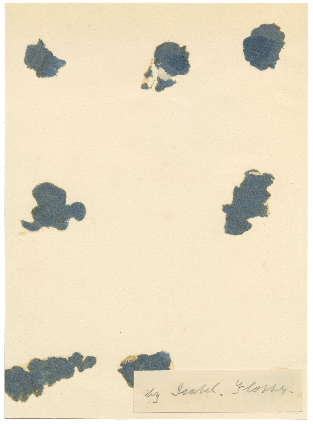 Isabella Hunter, Tabby Cat 'Flossy' with Bow Collar, Scottish Borders – 1870s watercolour painting