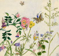 Lucy Hunter, Wildflower Fairies – 1873 watercolour painting