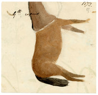 Lucy Hunter, Wildflower Fairies – 1873 watercolour painting