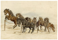 Hunter, Playful Highland Pony Horses, Scottish Borders – 1870s watercolour painting