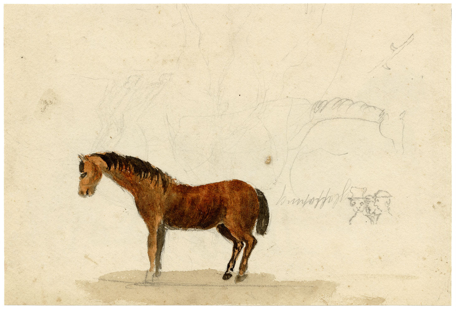 Hunter, Playful Highland Pony Horses, Scottish Borders – 1870s watercolour painting