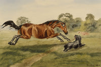 Isabella Hunter, Gamesome as the Colt from Tennyson, Horse & Dog, Scottish Borders – 1876 watercolour painting