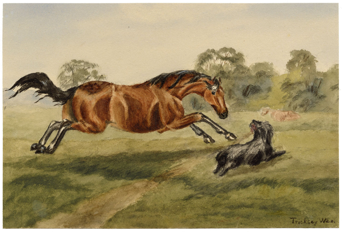 Isabella Hunter, Gamesome as the Colt from Tennyson, Horse & Dog, Scottish Borders – 1876 watercolour painting