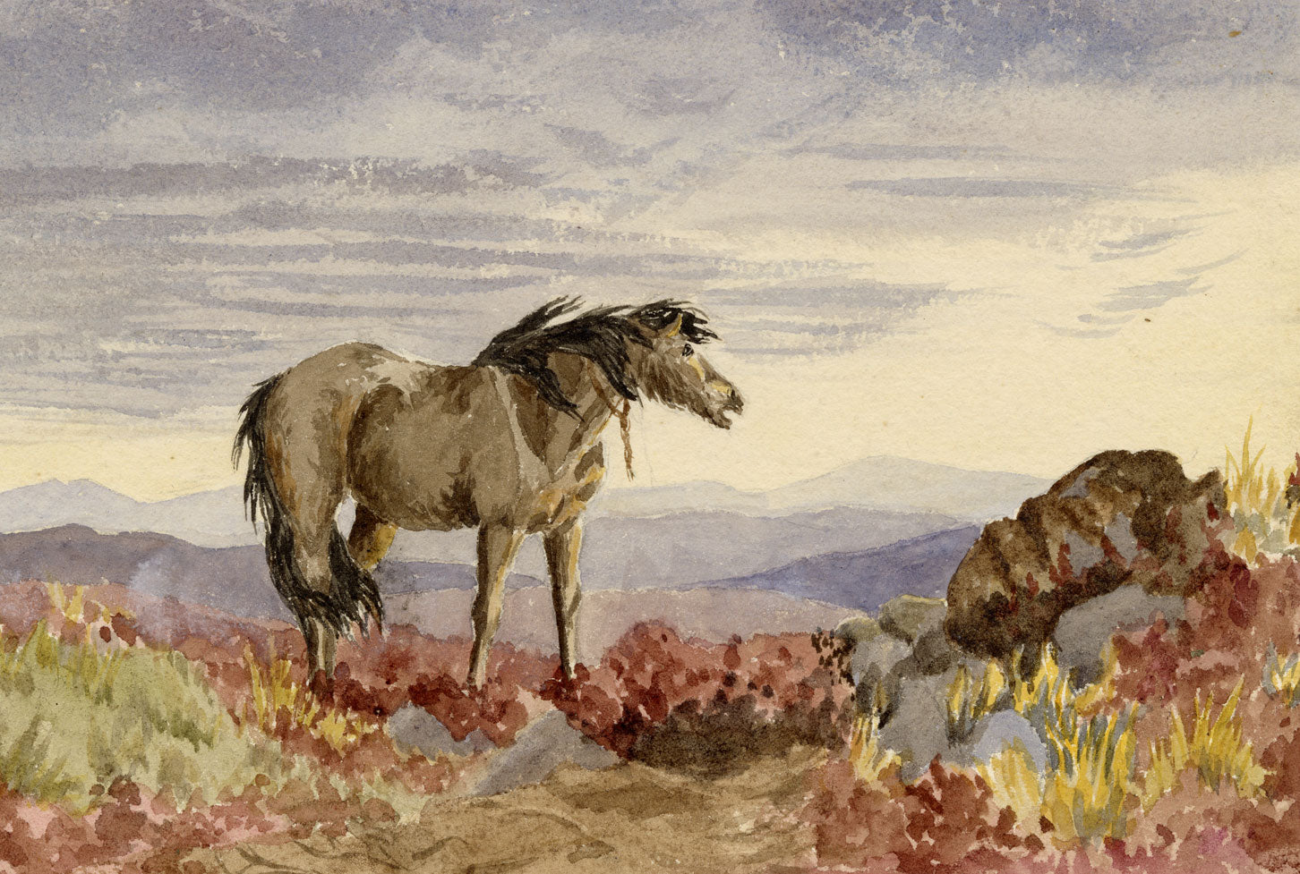 Hunter, Highland Pony Horse at Spittal near Berwick, Scottish Borders – 1876 watercolour painting
