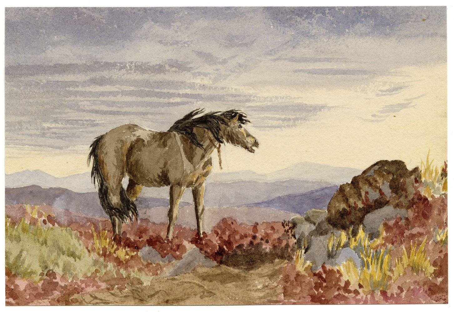 Hunter, Highland Pony Horse at Spittal near Berwick, Scottish Borders – 1876 watercolour painting