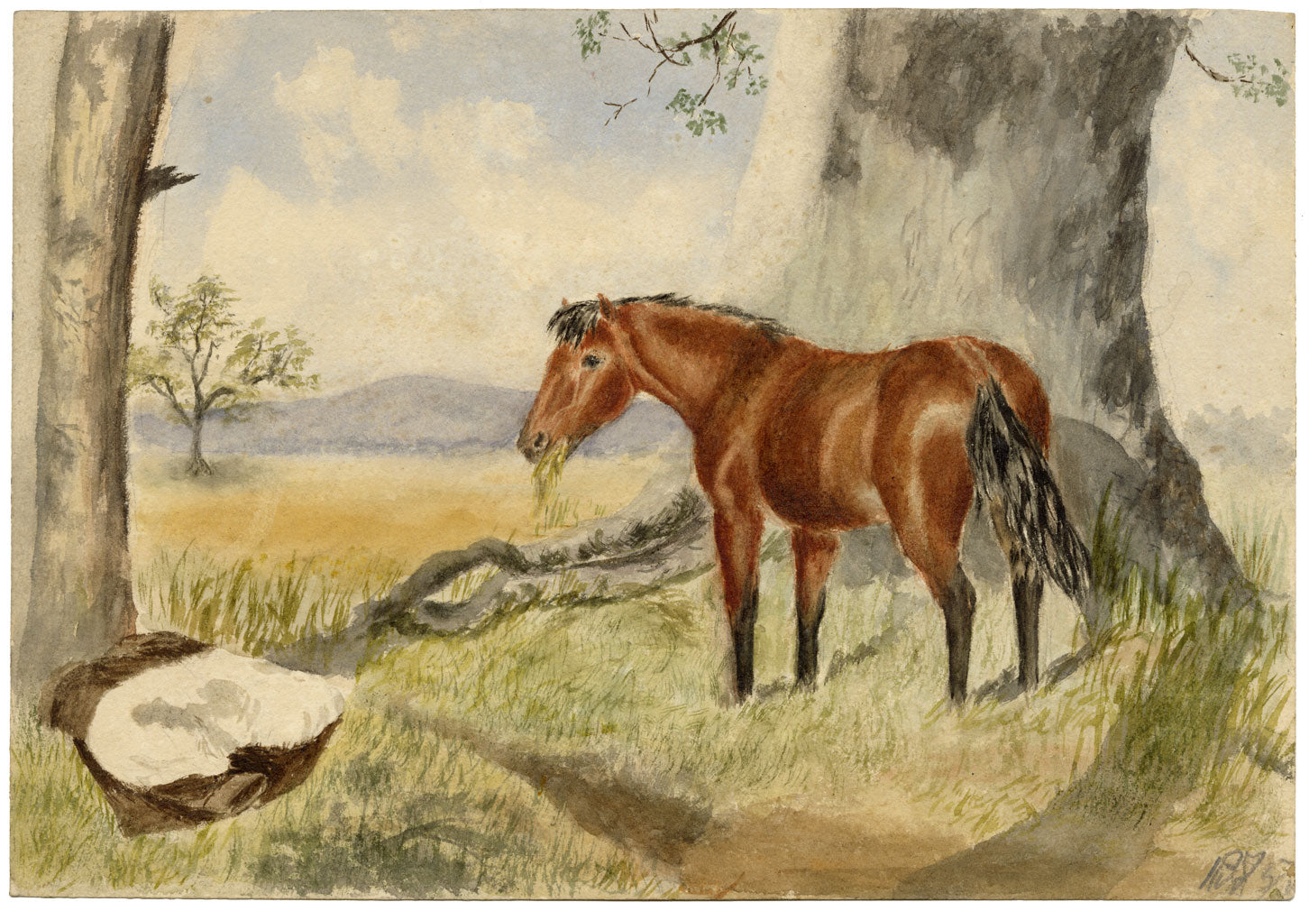 Hunter, Bay Horse, Scottish Borders – 1875 watercolour painting