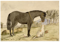 Lucy Hunter, Horse & Dog in Stable Yard, Scottish Borders – 1874 watercolour painting