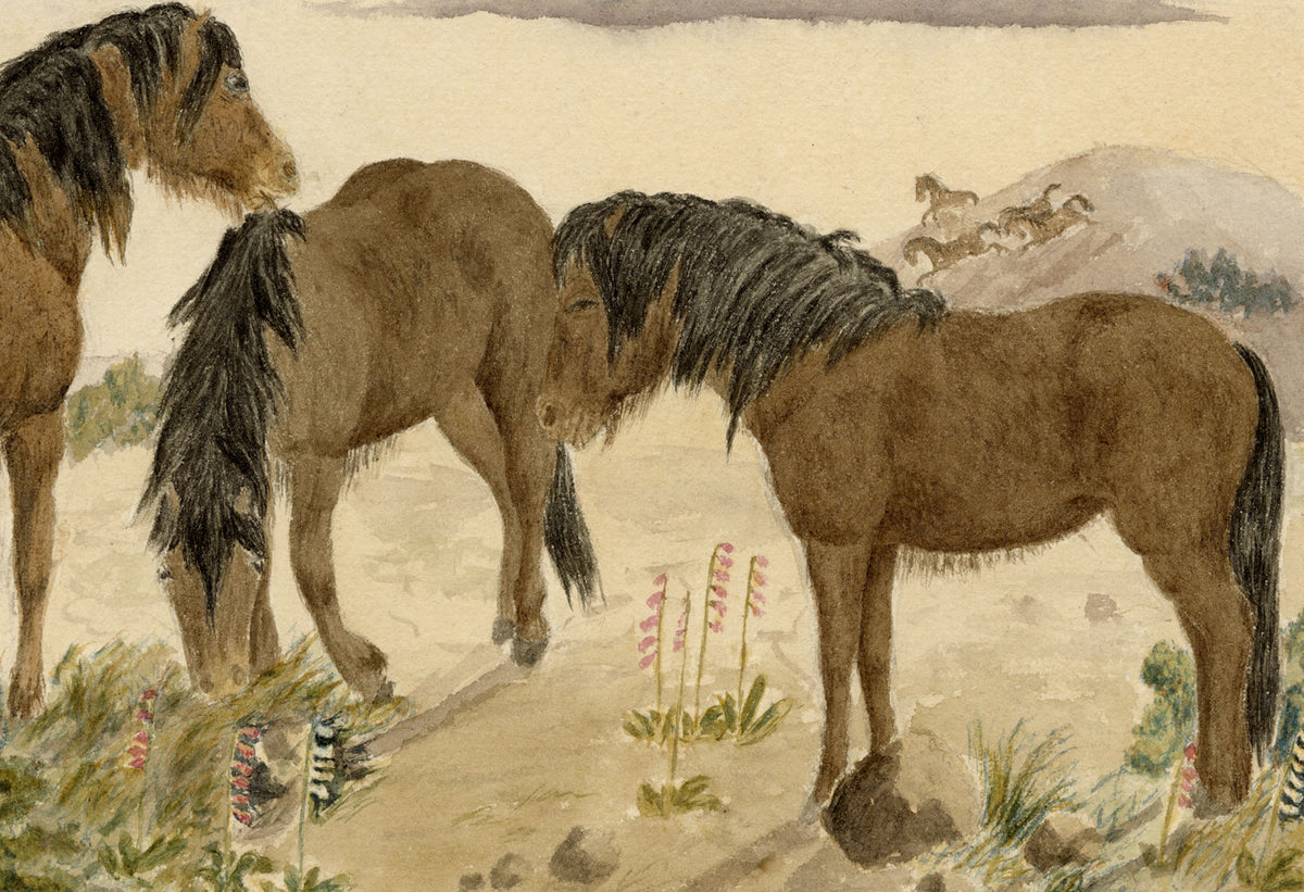Hunter, Highland Ponies in the Scottish Borders – 1870s watercolour painting
