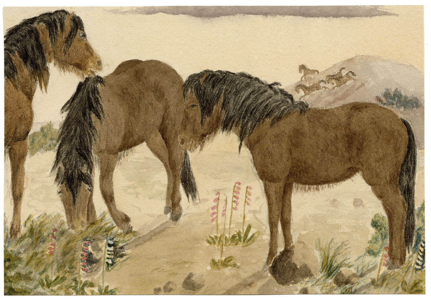 Hunter, Highland Ponies in the Scottish Borders – 1870s watercolour painting