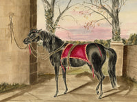 Hunter, Horse with Ornate Saddle Cloth, Scottish Borders – 1870s watercolour painting