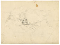 Hunter, Horse with Ornate Saddle Cloth, Scottish Borders – 1870s watercolour painting