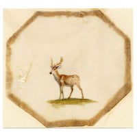 Anon., Fallow Buck Deer – Early 19th-century painting on chinese pith