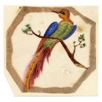 Anon., Bird of Paradise on a Branch – Early 19th-century painting on chinese pith