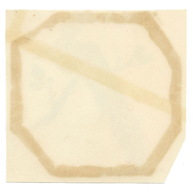 Anon., Bird of Paradise on a Branch – Early 19th-century painting on chinese pith