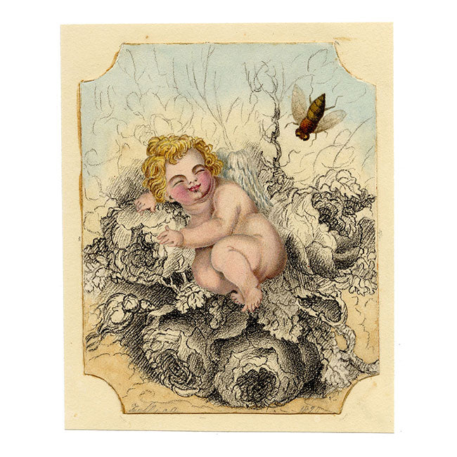 Anon., Sleeping Putto in Flower Bed – 1820 watercolour painting