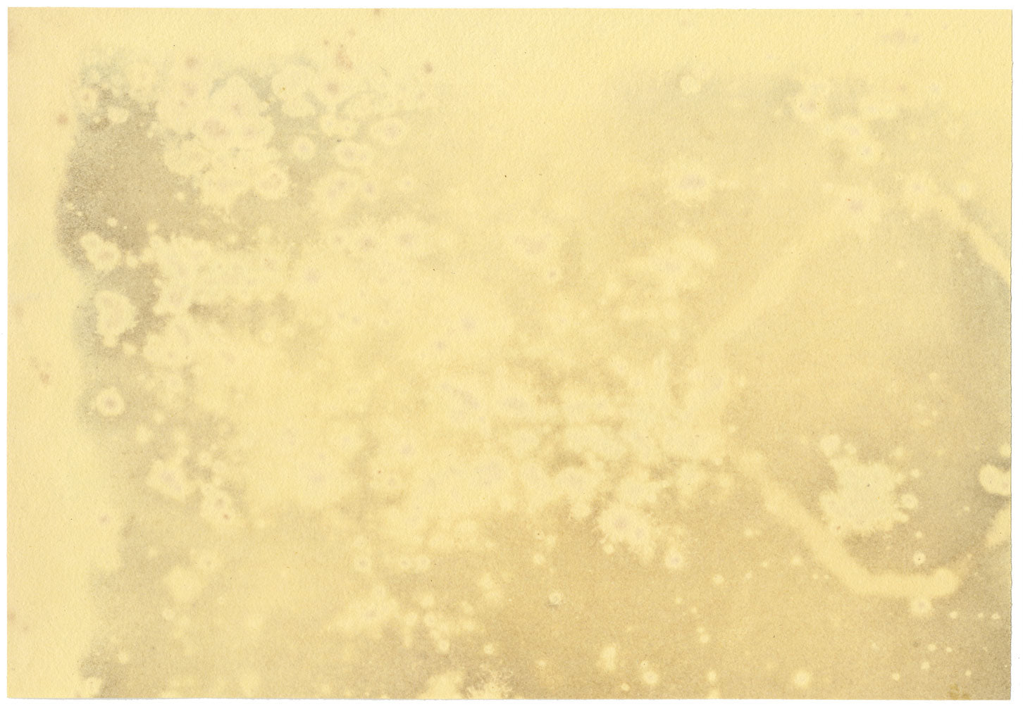 W.F.S., Byron's 'Mazeppa' Tied to a Wild Horse – 1830 watercolour painting