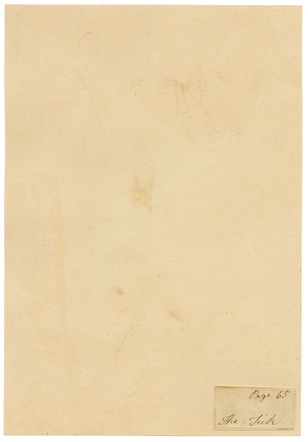 J. McA, Tick Mites Life Cycle Study – c.1810s watercolour painting