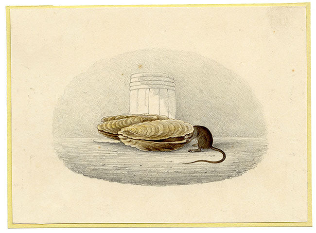 Anon., Mouse in Oyster Shell – Early 19th-century watercolour painting